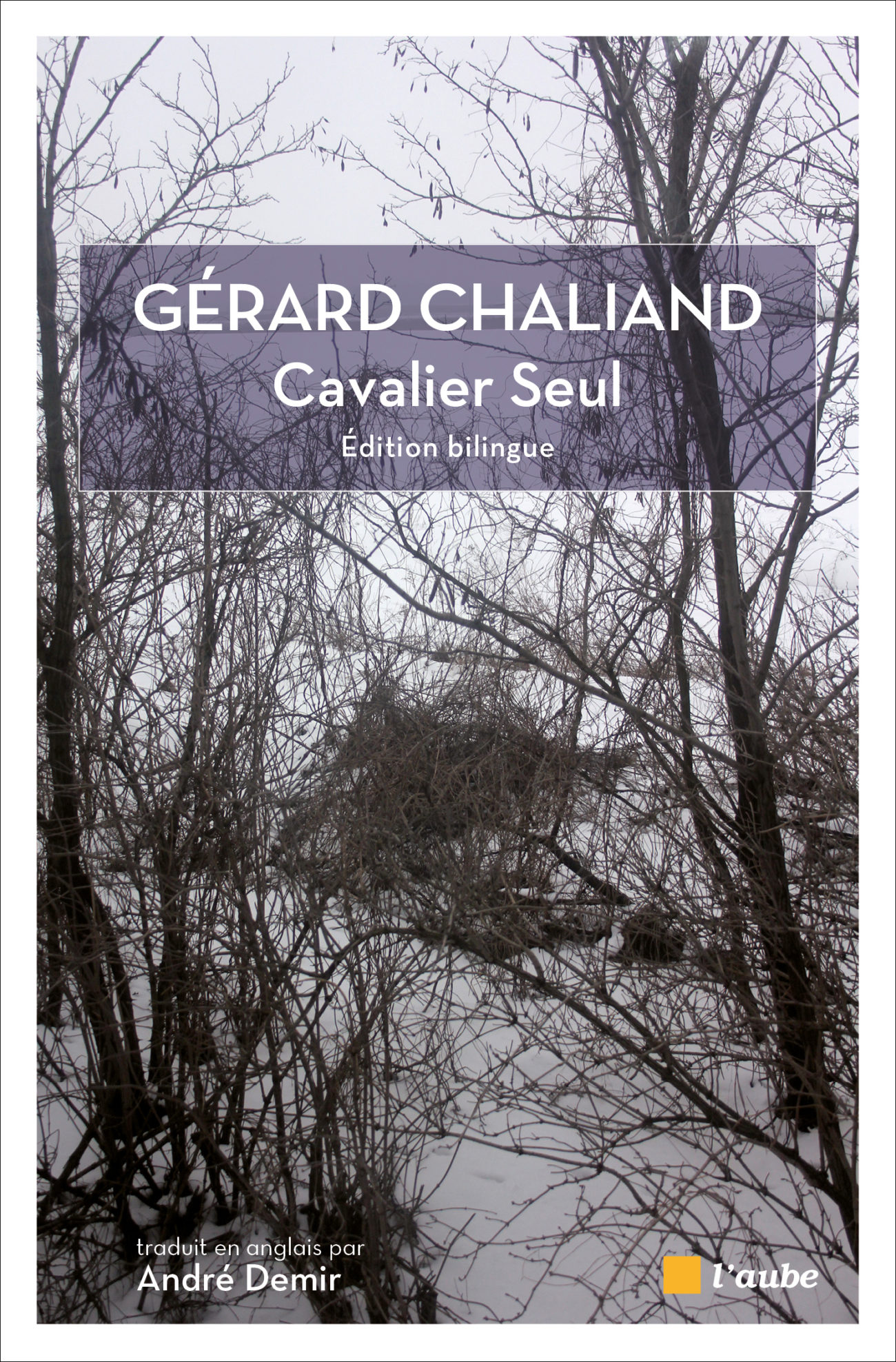 Cavalier seul Cavalier seul