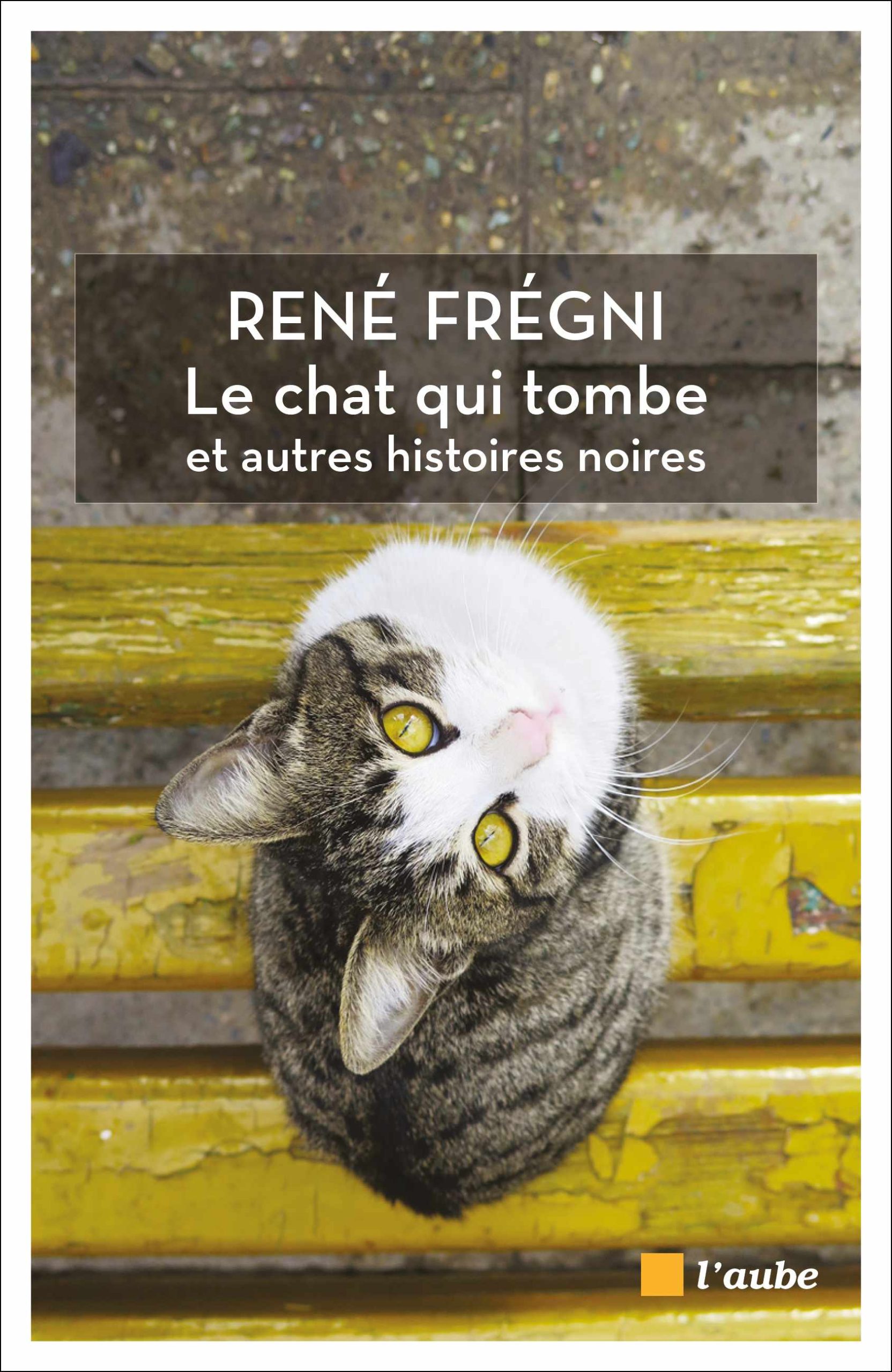 Le chat qui tombe et autres histoires noires Le chat qui tombe et autres histoires noires