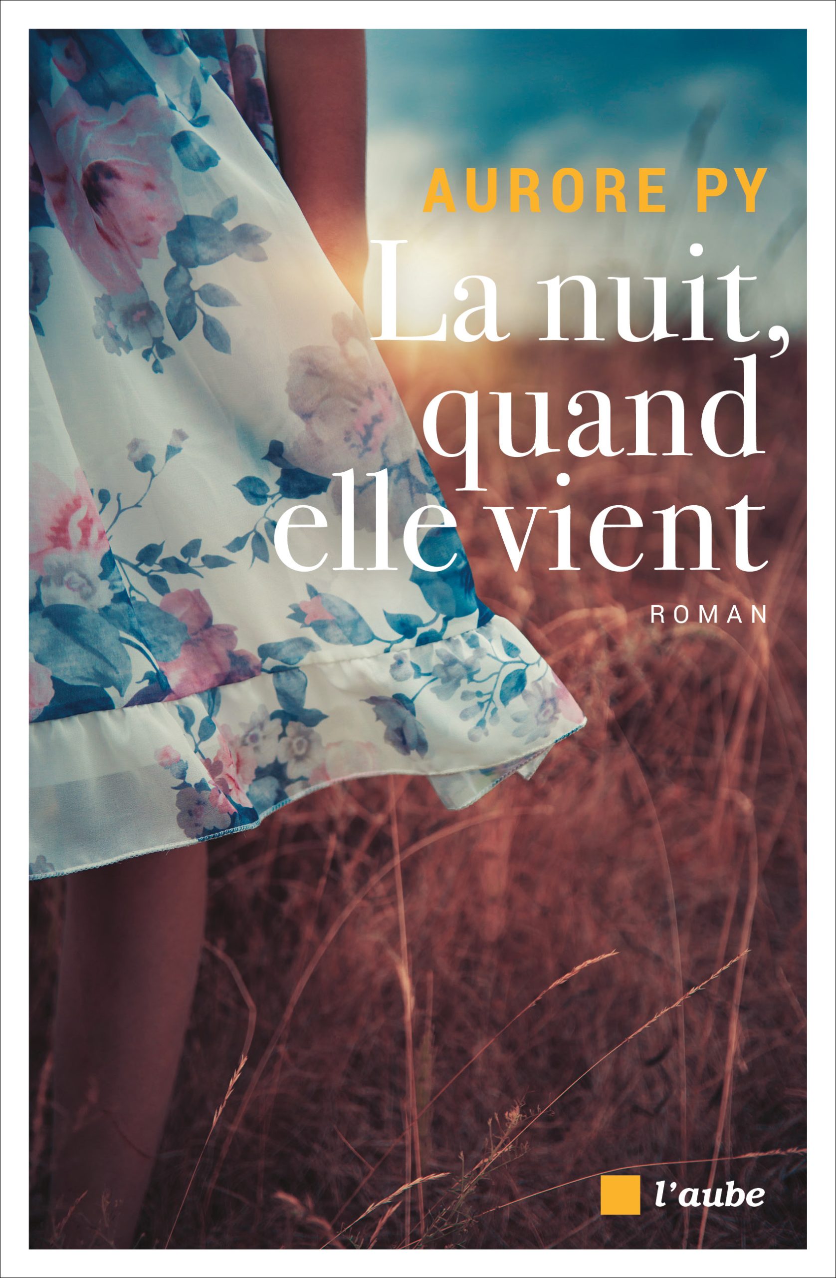 3361-Py-La nuit quand elle vient