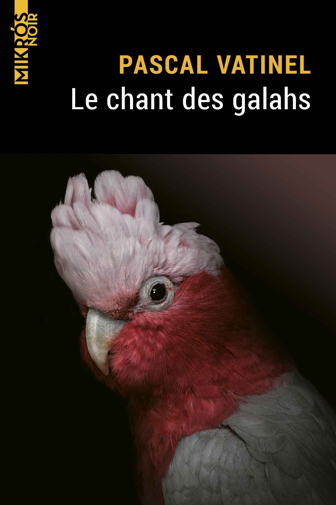 4283-Vatinel-Le chant des galahs