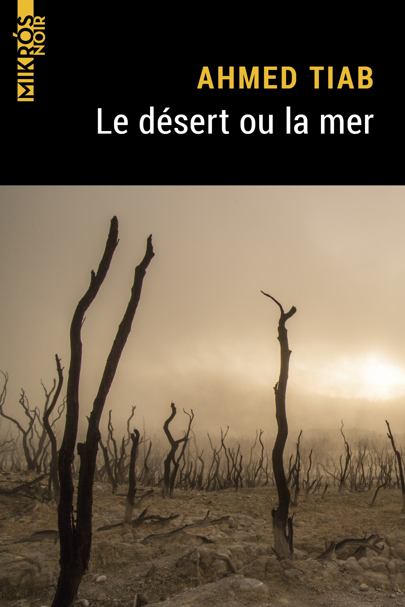 4739-Tiab-Le de sert ou la mer