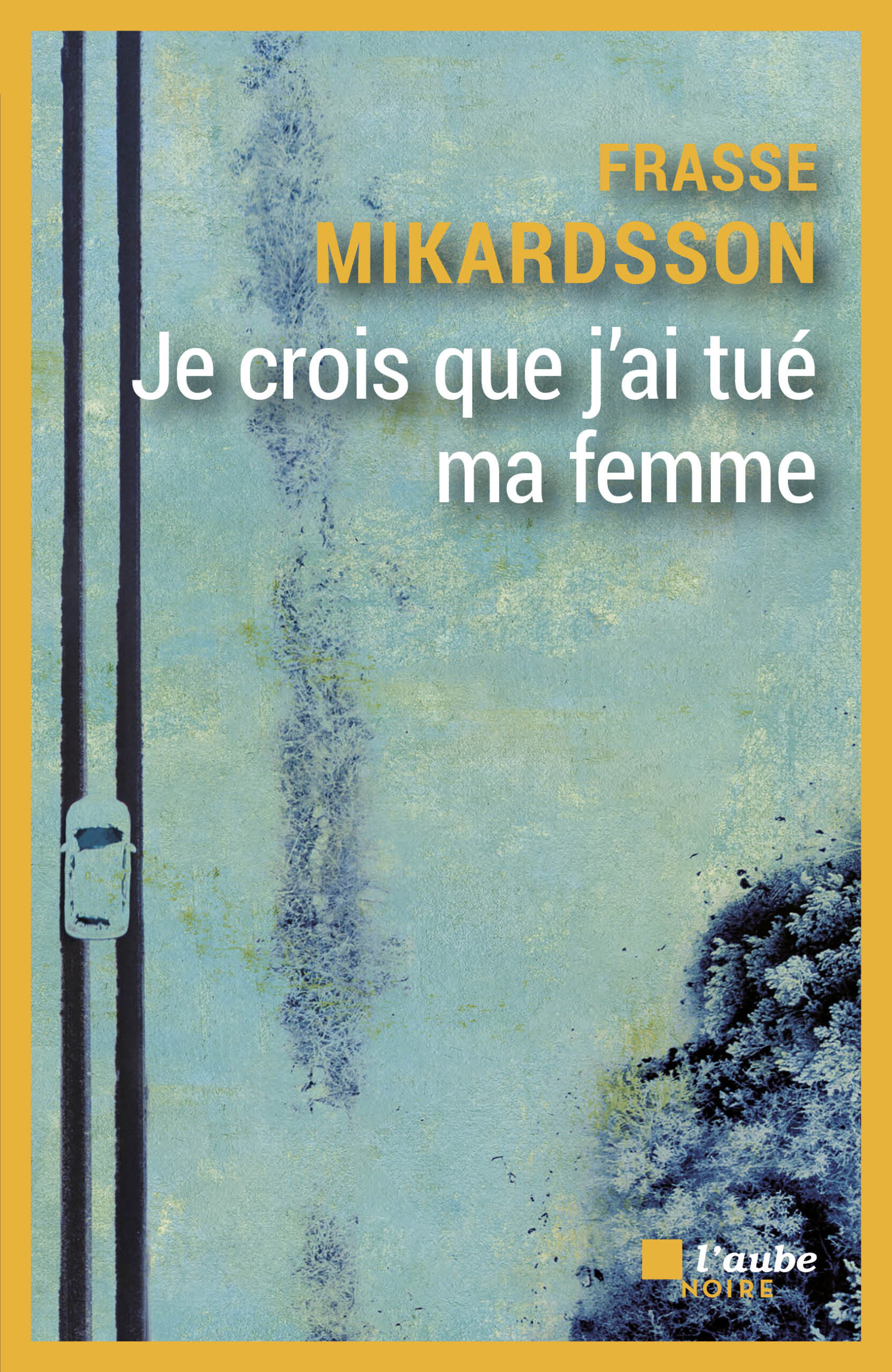 5130-Mikardsson-Je crois que j’ai tue ma femme