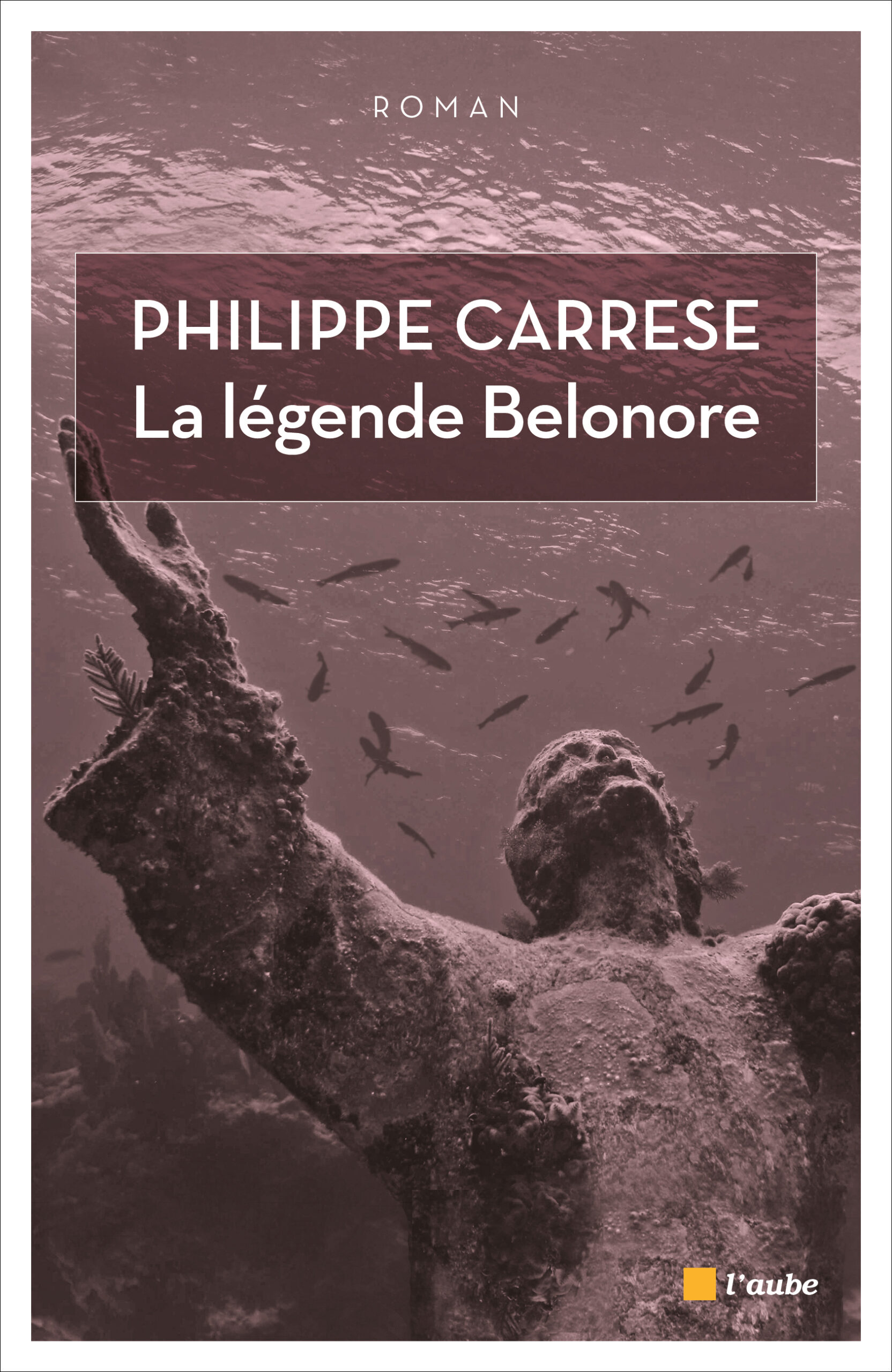 Document du livre 9782815914451 hd