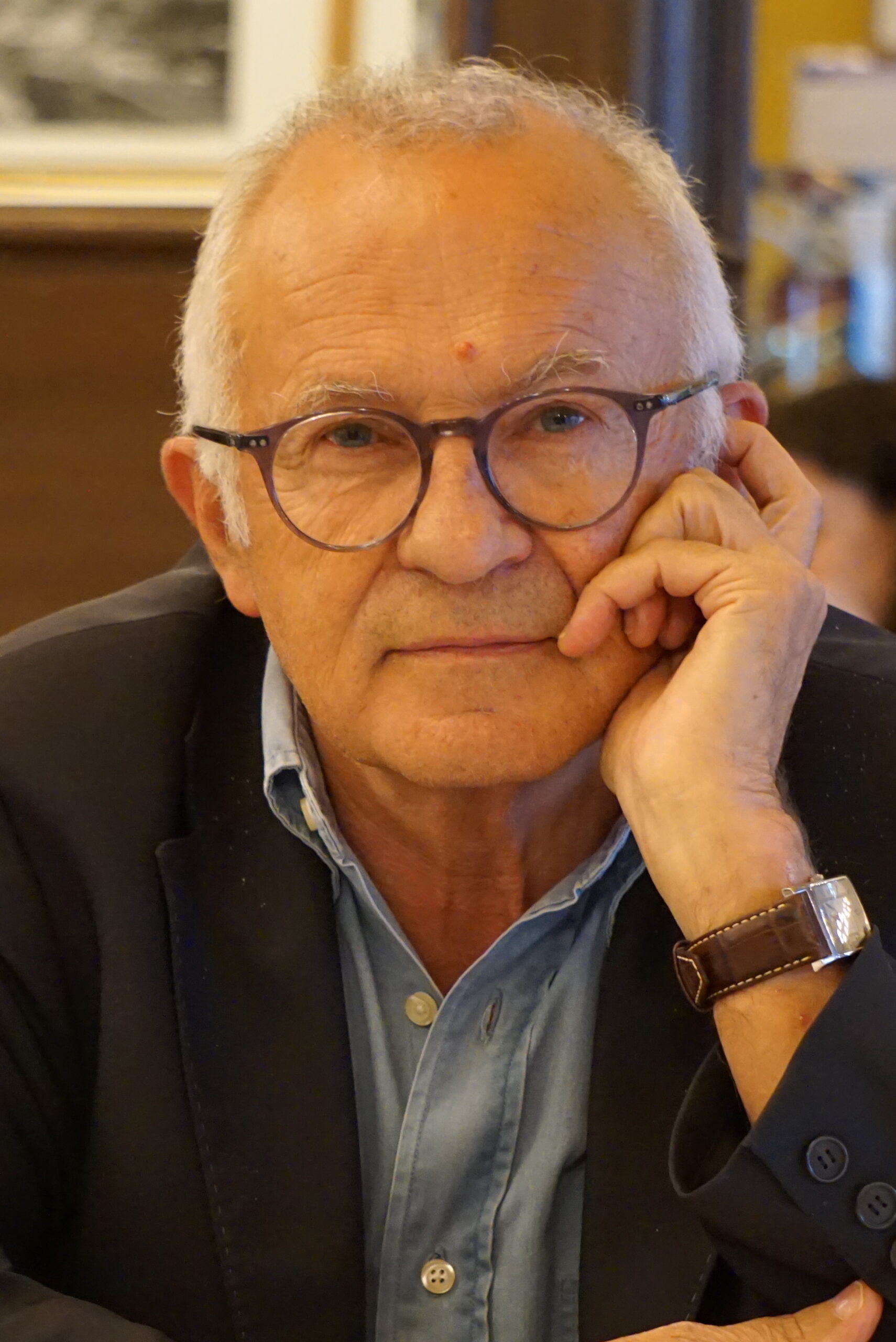 François Dubet.JPG
